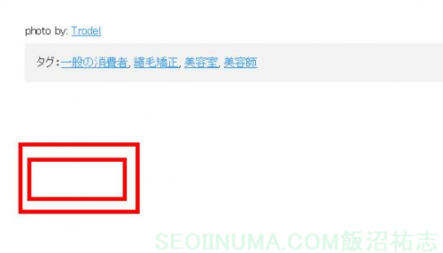 seo賢威のコメント欄を消したあとに残る『コメントは停止中です』の文字が完全に削除された完了画像です。